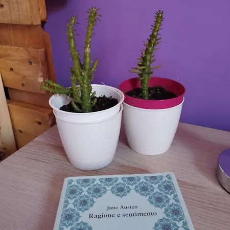 Frühstückspension Ferula Loft Sortino