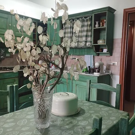 Ferula Loft