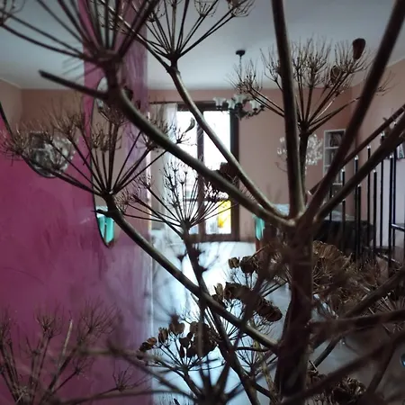 Ferula Loft 3*