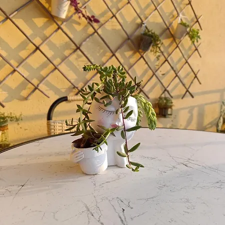 Ferula Loft *