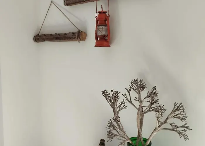 Ferula Loft 3*