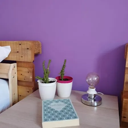 Ferula Loft 3*