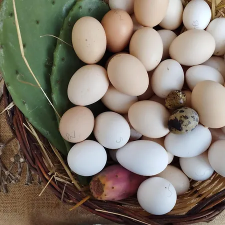 Ferula Loft Nocleg ze śniadaniem