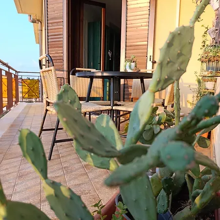Ferula Loft