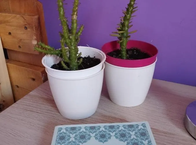 Bed & Breakfast Ferula Loft Sortino