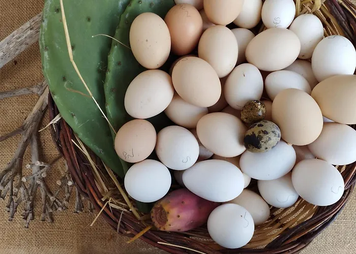 Ferula Loft Bed & Breakfast