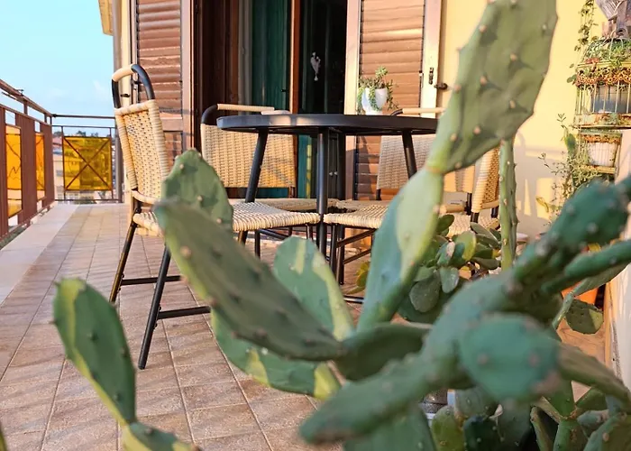 Ferula Loft